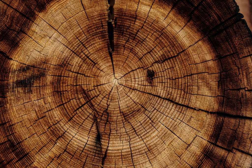 Natural Wood Checks