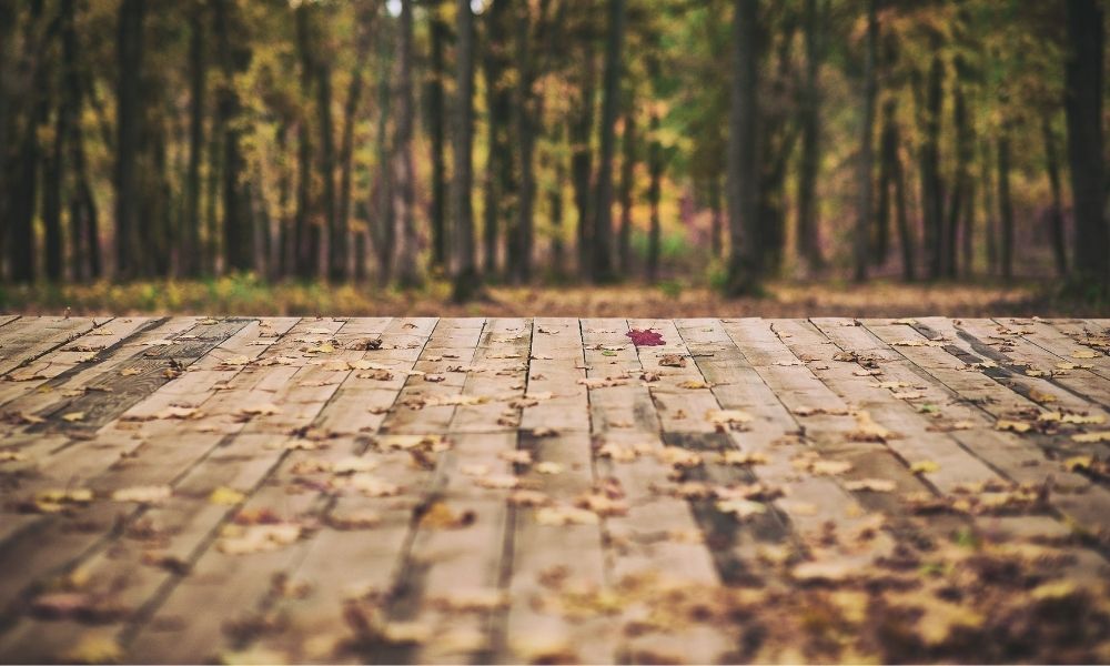 Why It’s Important To Keep Leaves Off Your Deck