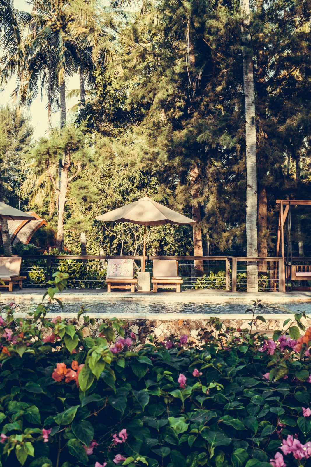 6 Pool Landscaping Ideas: Unique Ways To Surround Your Pool