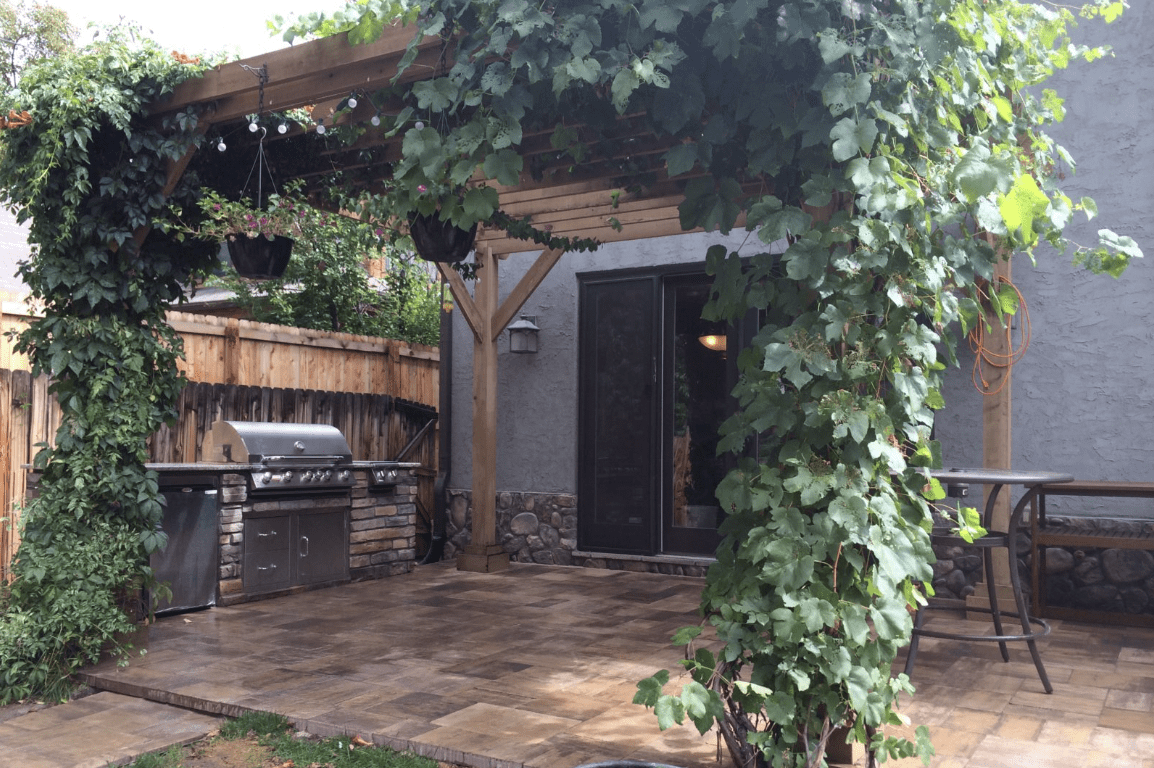 The 3 Best Vines To Grow on Your Pergola This Spring